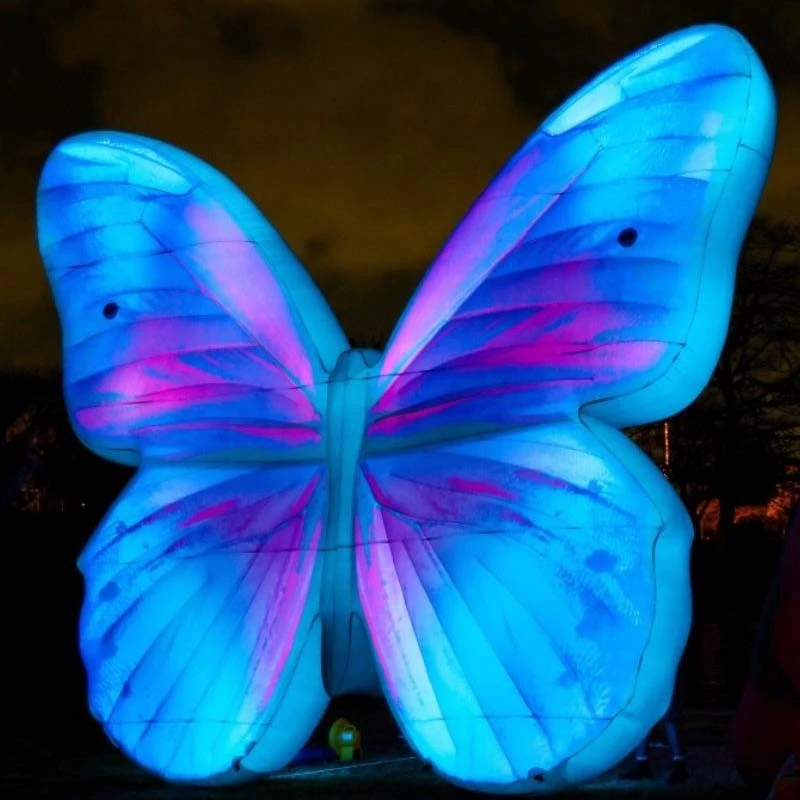 Inflatable flying animals (3)